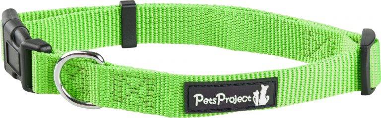 ⁦קולר בד בייסיק אקסטרא קטן PetsProject⁩ – תמונה ⁦10⁩