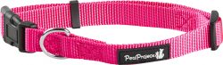 ⁦קולר בד בייסיק אקסטרא קטן PetsProject⁩ – תמונה ⁦11⁩