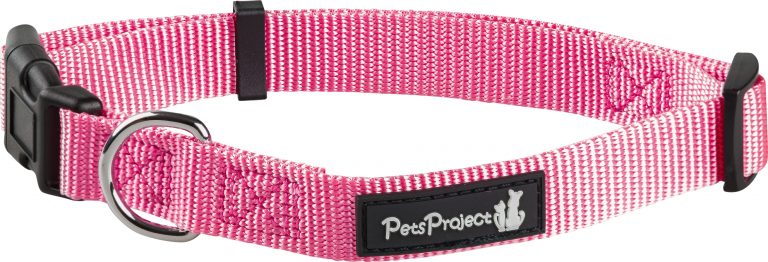 ⁦קולר בד בייסיק אקסטרא קטן PetsProject⁩ – תמונה ⁦12⁩