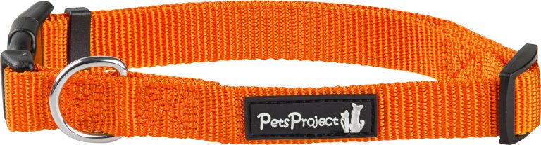 ⁦קולר בד בייסיק אקסטרא קטן PetsProject⁩ – תמונה ⁦5⁩