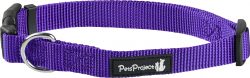⁦קולר בד בייסיק אקסטרא קטן PetsProject⁩ – תמונה ⁦2⁩