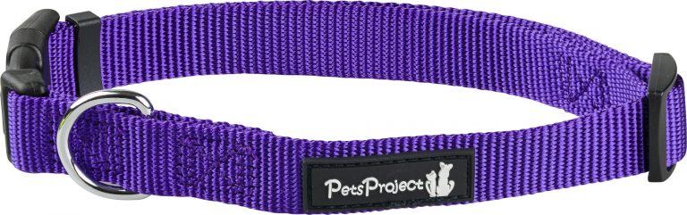 ⁦קולר בד בייסיק אקסטרא קטן PetsProject⁩ – תמונה ⁦2⁩