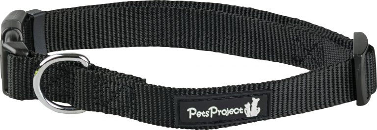 ⁦קולר בד בייסיק אקסטרא קטן PetsProject⁩ – תמונה ⁦4⁩