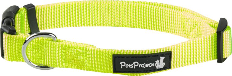 ⁦קולר בד בייסיק אקסטרא קטן PetsProject⁩ – תמונה ⁦3⁩