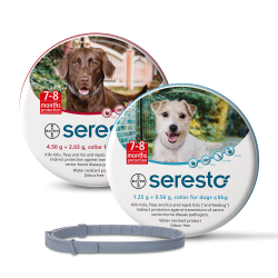 סרסטו קולר לכלב Seresto