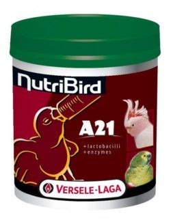 A-21 אבקה להאכלת גוזלי תוכים גדולים Nutribird