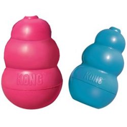 קונג גורים מצפצף KONG