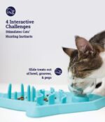 פאן פידר שטיחון דג+קערה Petstages – תמונה 3