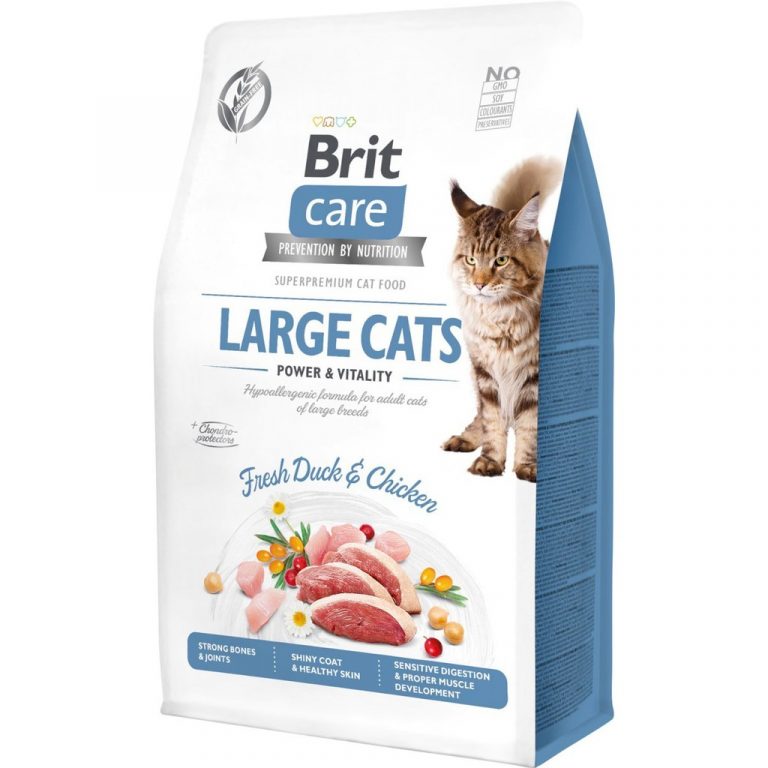 ⁦בריט קר חתול בוגר "גדול" נטול דגנים 2 ק"ג Brit Care⁩ – תמונה ⁦1⁩