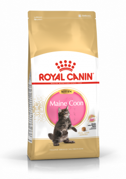 רויאל קנין מיין קון קיטן 4 ק"ג Royal Canin