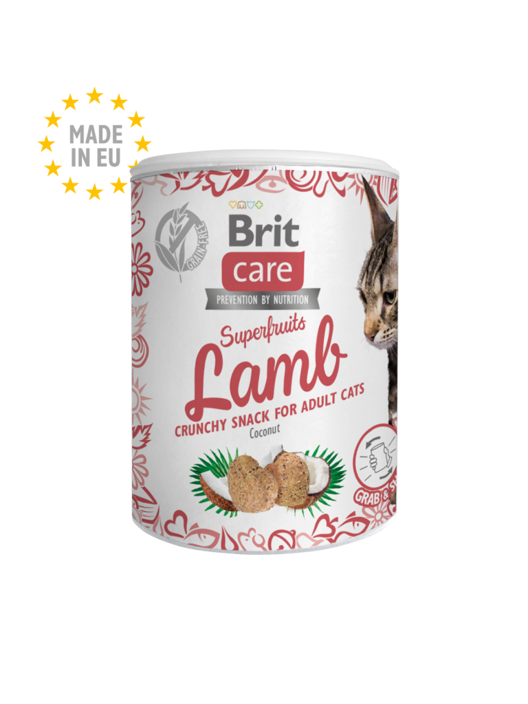 ⁦בריט קר חטיף סופר-פרוט לחתול עם כבש 100 גרם Brit care⁩ – תמונה ⁦1⁩