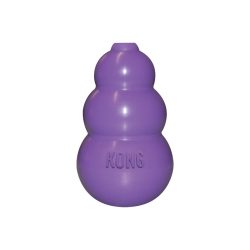 קונג קיטי KONG