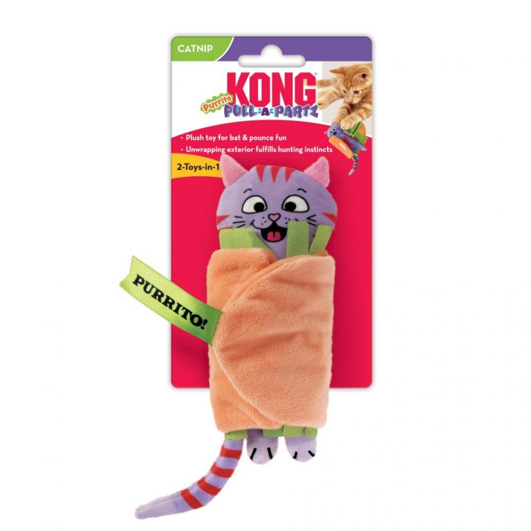 ⁦קונג פול א פארטז KONG⁩ – תמונה ⁦3⁩