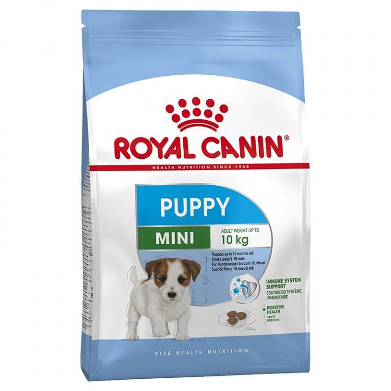⁦רויאל קנין מיני (ג'וניור) 8 ק"ג פאפי Royal Canin⁩ – תמונה ⁦1⁩