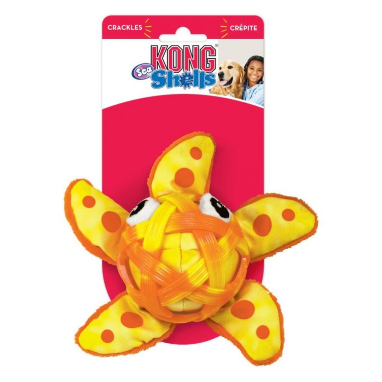 ⁦קונג משחק צדף דג כוכב KONG⁩ – תמונה ⁦2⁩