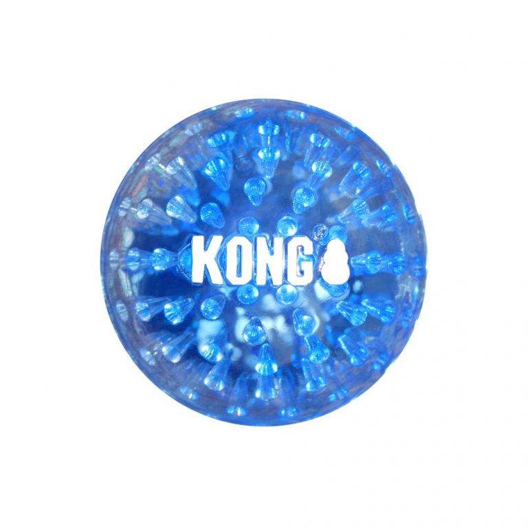 ⁦קונג סקוויז ג'אודז KONG⁩ – תמונה ⁦1⁩