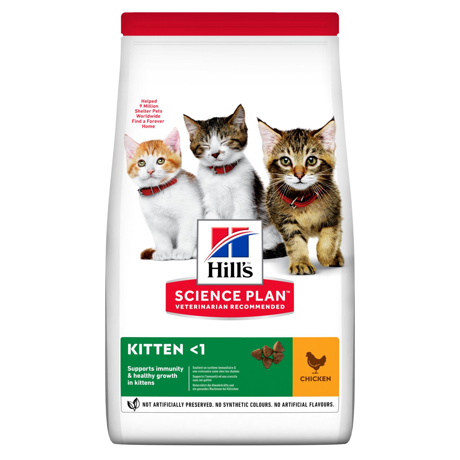 kitten-1.jpg סיאנס פלאן לחתול גור 1.5 ק"ג Hills – תמונה 1