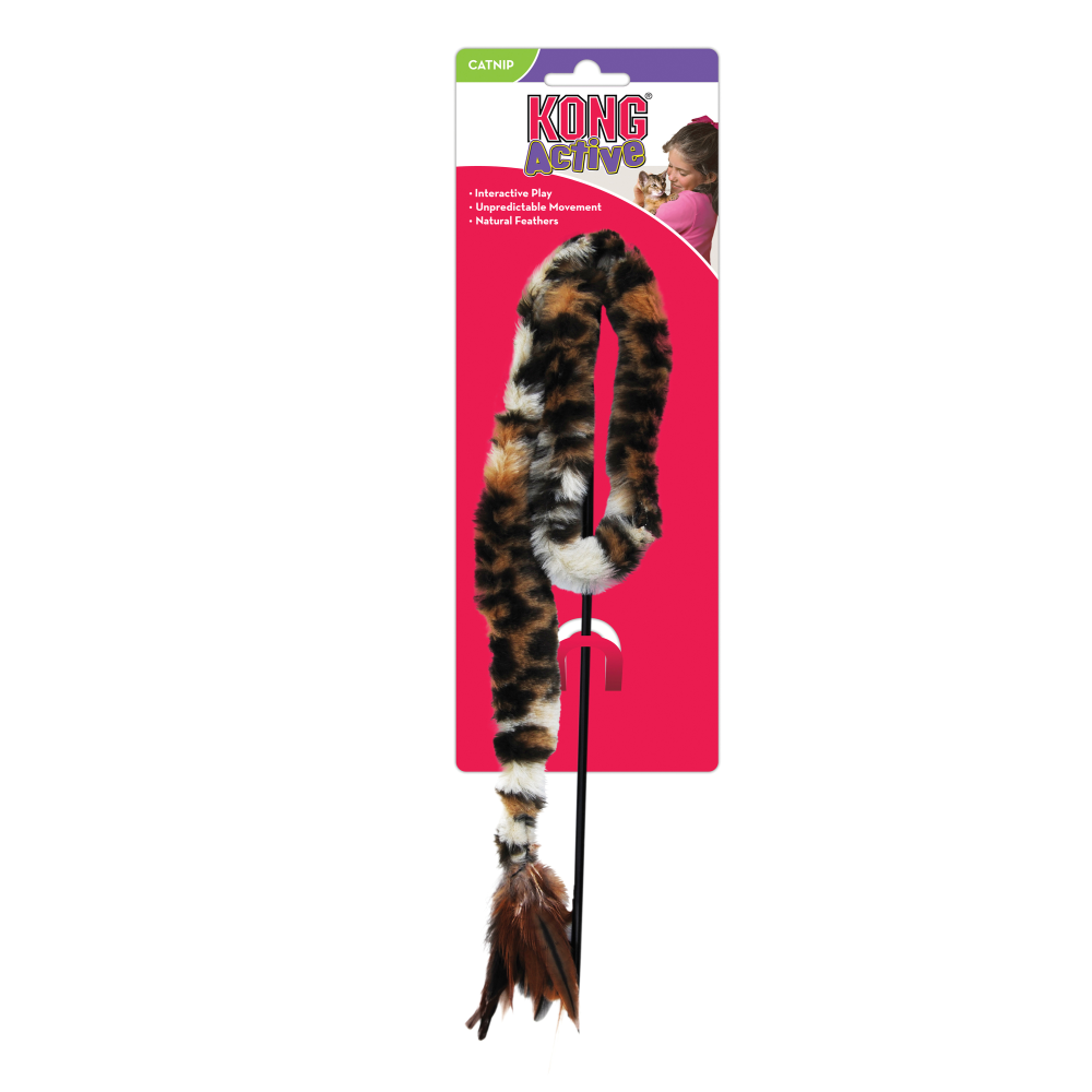 kong-cat-dr-noys-swizzle-bird___1.png קונג חכה ציפור Kong – תמונה 3