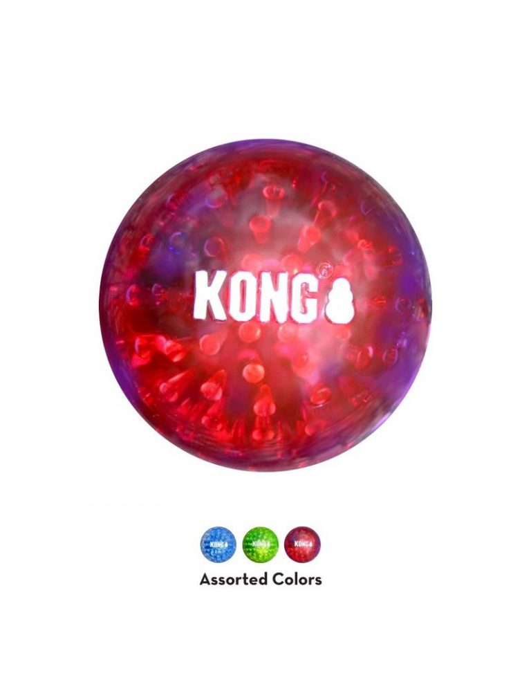 ⁦קונג סקוויז ג'אודז KONG⁩ – תמונה ⁦4⁩