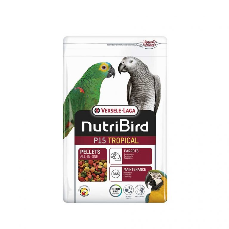 ⁦Nutribird 3 ק"ג P-15⁩ – תמונה ⁦1⁩