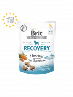 חטיף בריט קר ריקוברי 150 גר Brit Care