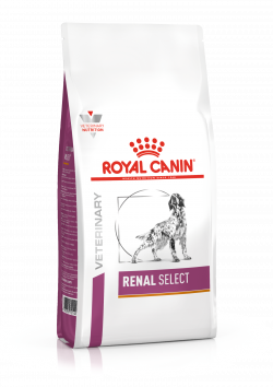 רויאל קנין לכלב רנל סלקט 2 ק"ג Royal Canin