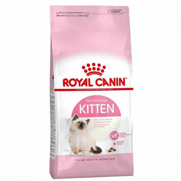 ⁦רויאל קנין לגורי חתולים 10 ק"ג Royal Canin⁩ – תמונה ⁦1⁩