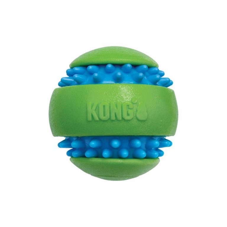 ⁦קונג סקוויז גומי כדור ירוק בינוני KONG⁩ – תמונה ⁦1⁩