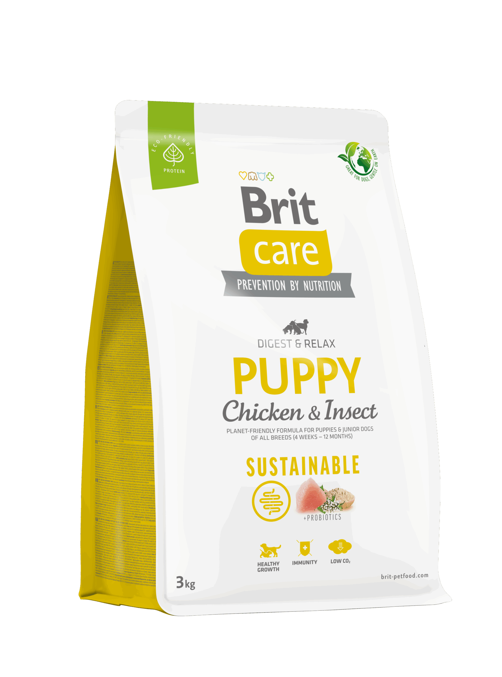 3kg_Puppy בריט קר קיימות גור 3 קג – תמונה 1