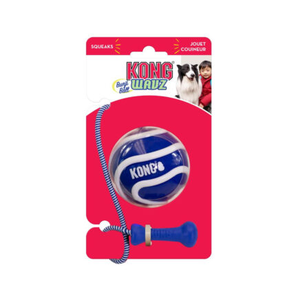 קונג כדור באנג`י PSV11) L)