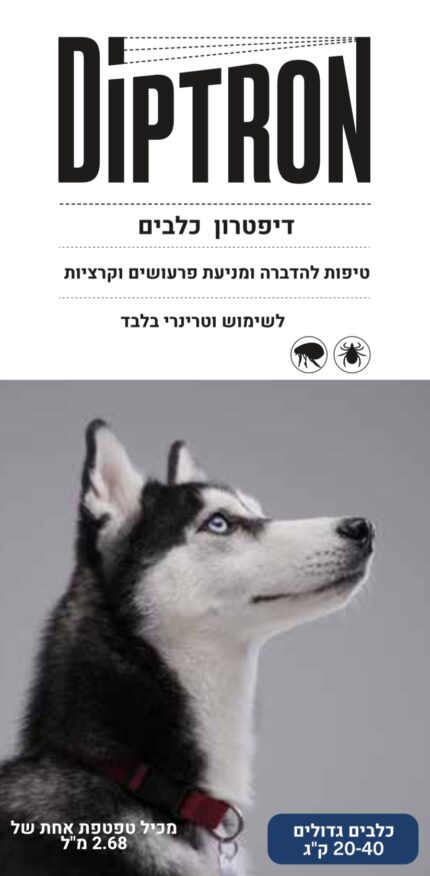 דיפטרון אמפולה לכלב לטיפול בפרעושים וקרציות בכלבים 20-40 ק”ג יחידה בודדת Diptron