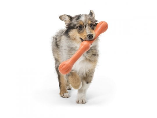 ZWIG_MELON_AUSSIE_IN-MOUTH_5 ווסט פאו זוויג L סגול West Paw – תמונה 3