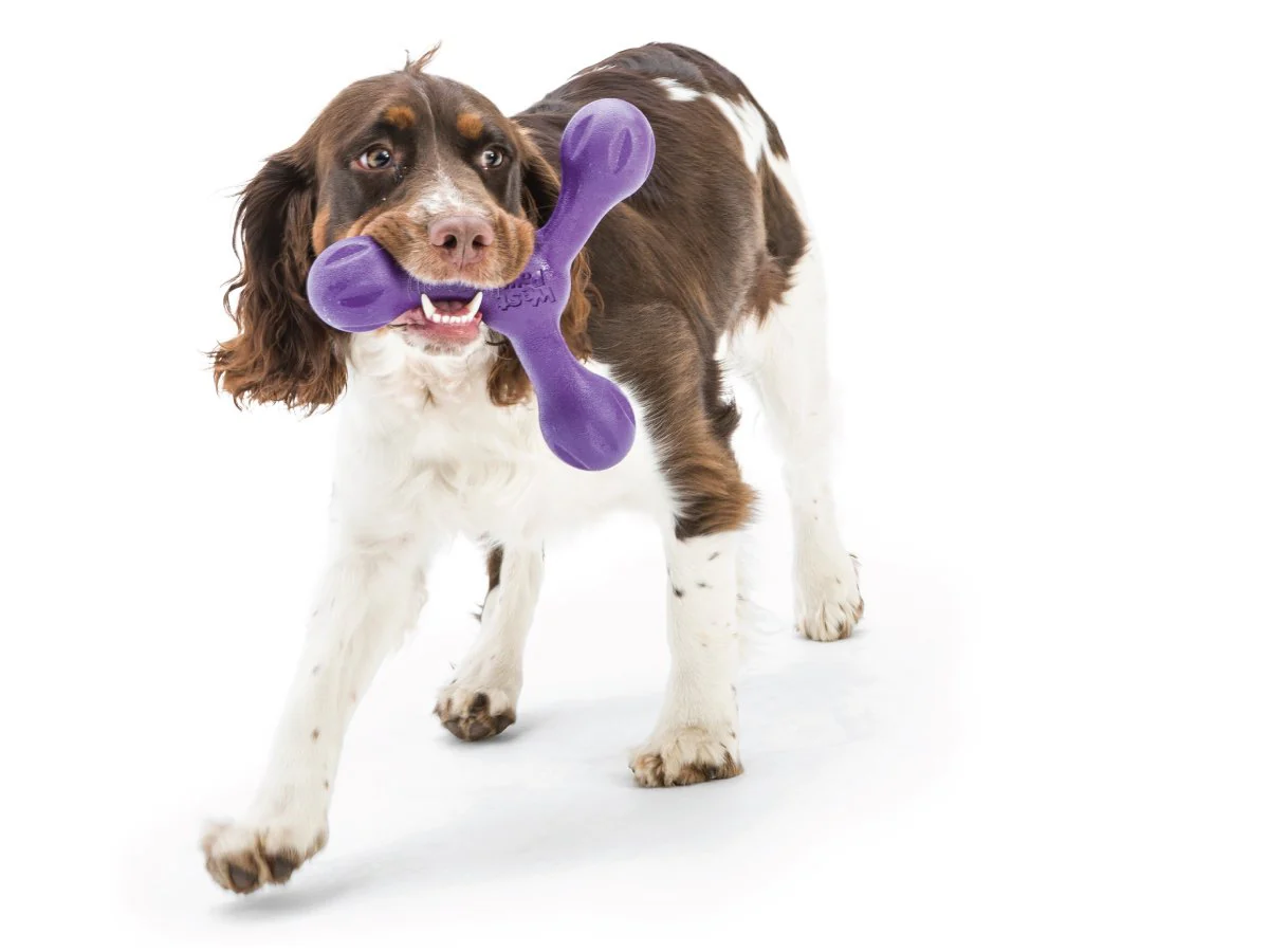 west-paw--l-747473760191-pet-store-15909203968063_1200x ווסט פאו סקאמפ L ירוק West Paw – תמונה 3