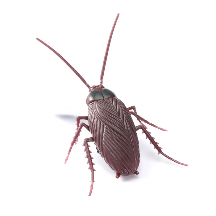 ⁦JUNGLE INSECT מקק חכם רוטט 11 ס"מ⁩ – תמונה ⁦1⁩