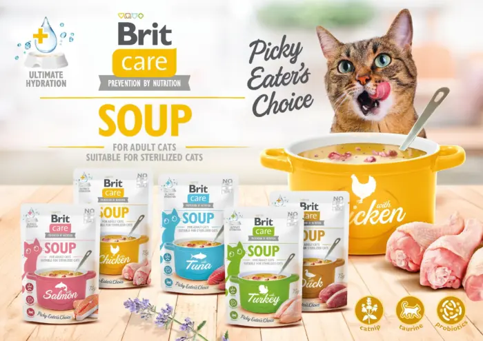 ⁦בריט קר מרק לחתול ברווז 75 גרם Brit Care SOUP⁩ – תמונה ⁦2⁩