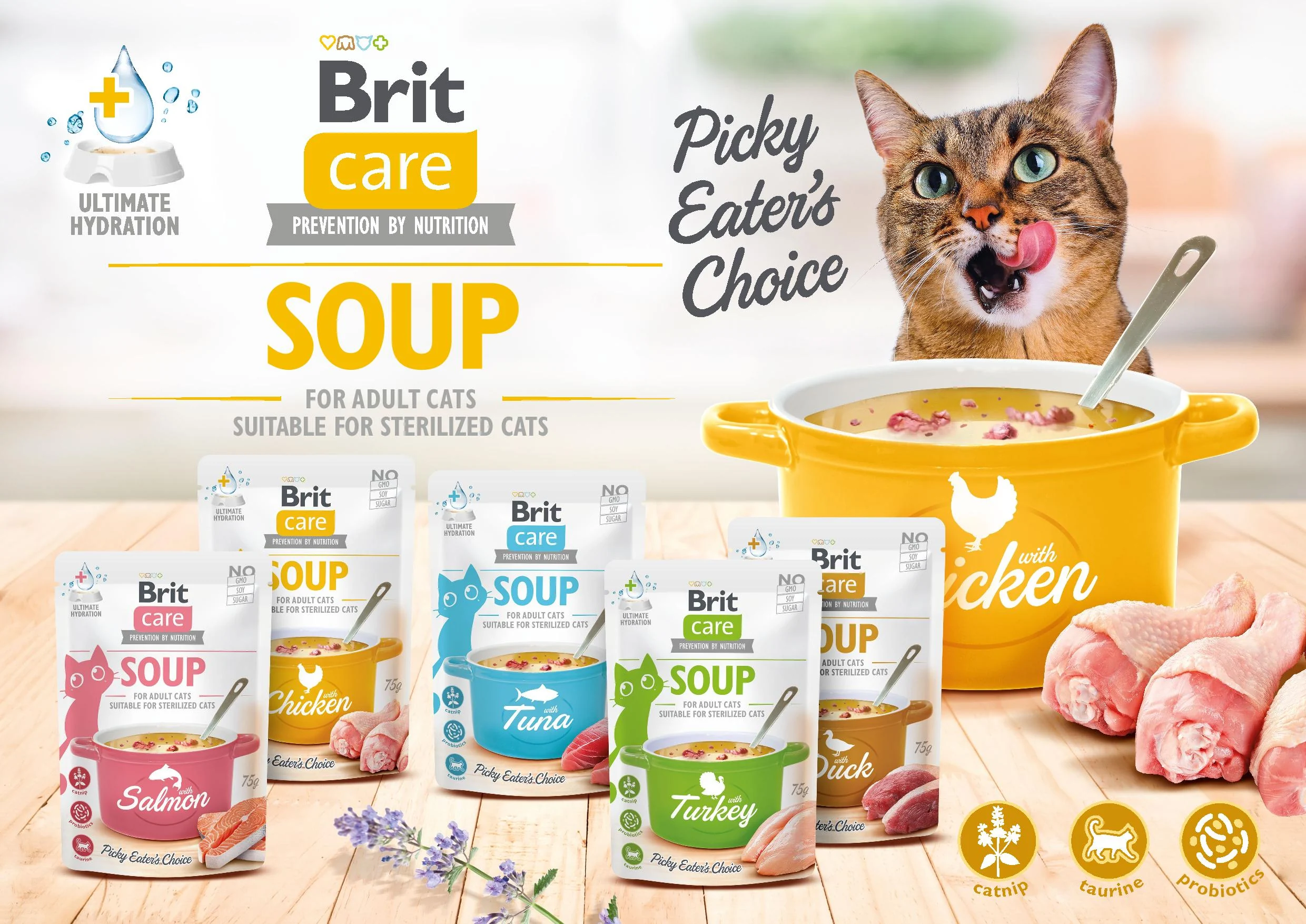 brit-care-cat-soups בריט קר מרק לחתול ברווז 75 גרם Brit Care SOUP – תמונה 2