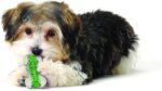 קראנצ`קור גדול  PetStages – תמונה 2