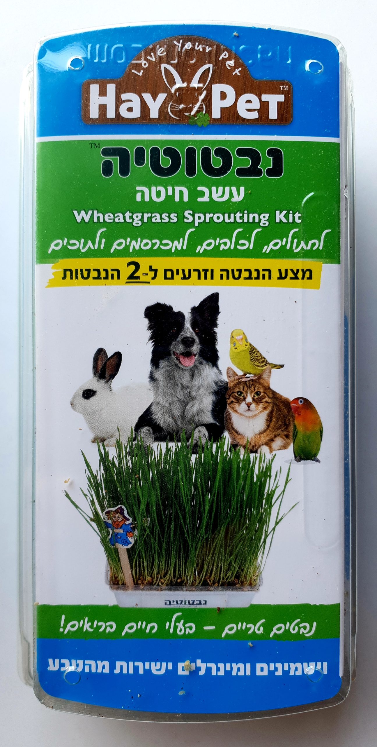 20210405_160018 היי פט נבטוטיה עשב חיטה לחתולים וכלבים HAY PET – תמונה 1
