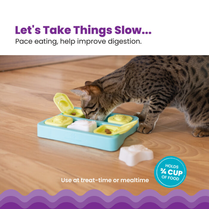 ⁦משחק חשיבה קאט בריק רמה 2 Petstages⁩ – תמונה ⁦3⁩