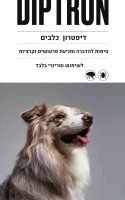 10-20 בודד 10-20 בודד
