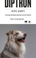 10-20 זוג 10-20 זוג