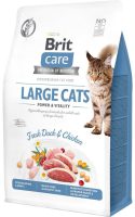 18461_BCC_Dry_food_2kg_LARGE_CATS.jpg 18461_BCC_Dry_food_2kg_LARGE_CATS.jpg