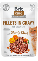 19064_BCC_pouch_FILLETS_GRAVY_WITH_HEARTY_DUCK_3D.png 19064_BCC_pouch_FILLETS_GRAVY_WITH_HEARTY_DUCK_3D.png