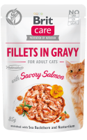 19064_BCC_pouch_FILLETS_GRAVY_WITH_SAVORY_SALMON_3D.png 19064_BCC_pouch_FILLETS_GRAVY_WITH_SAVORY_SALMON_3D.png