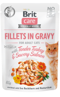 19064_BCC_pouch_FILLETS_GRAVY_WITH_TENDER_TURKEY_SAVORY_SALMON_3D.png 19064_BCC_pouch_FILLETS_GRAVY_WITH_TENDER_TURKEY_SAVORY_SALMON_3D.png
