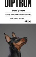 2-10 זוג 2-10 זוג