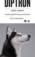 20-40 זוג 20-40 זוג