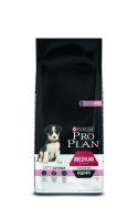ADULT-SENSITIVEPUPPY-12.jpg ADULT-SENSITIVEPUPPY-12.jpg