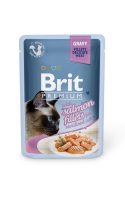 BPC Pouch_salmon fillets_gravy BPC Pouch_salmon fillets_gravy