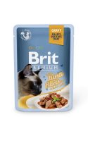 BPC-Pouch_tuna-fillets_gravy BPC-Pouch_tuna-fillets_gravy